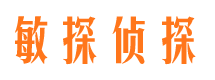 苏仙侦探公司